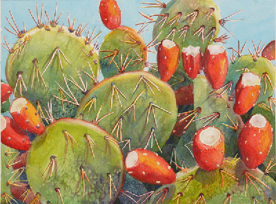 Prickly Pears